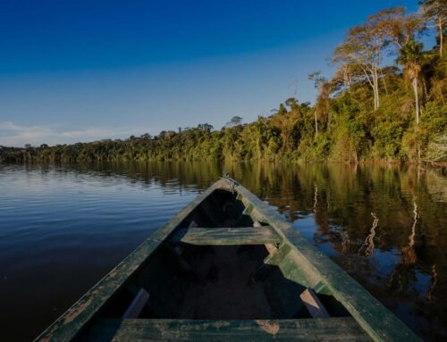 Unlocking Your Destiny: Insights Through Bazi